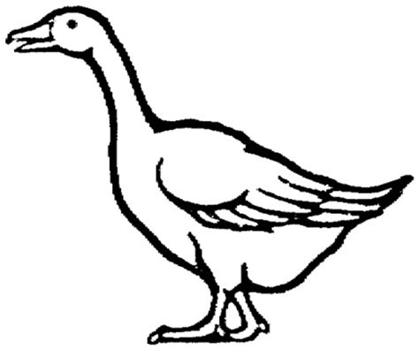 goose coloring download goose coloring for free 2019