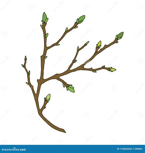 Tree Branch With Buds Eps10 Vector Stock Illustration Hand Drawing