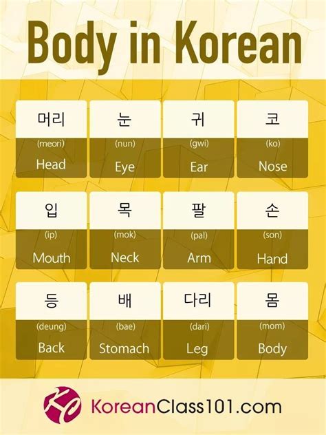 Body In Korean Korean Verbs Korean Slang Korean Phrases Korean
