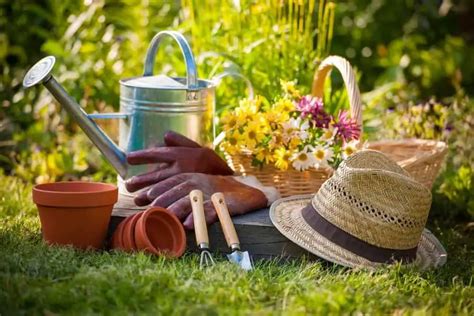 10 Essential Gardening Tools List And How To Use Them Which To Buy