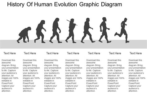 Human Evolutionary Timeline