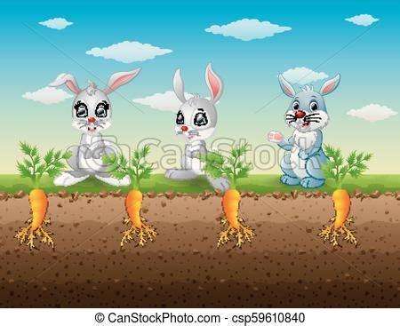 Vector Illustration Of Three Rabbits Cartoon In The Carrot Garden CanStock