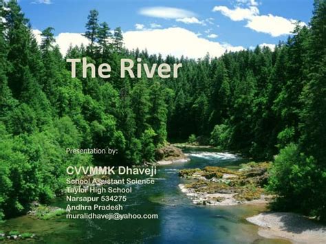 The River Ppt