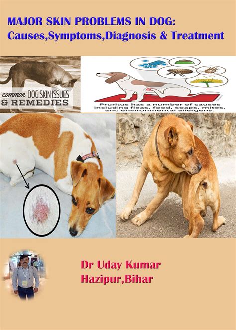 Major Skin Problems In Dog Causessymptomsdiagnosis And Treatment