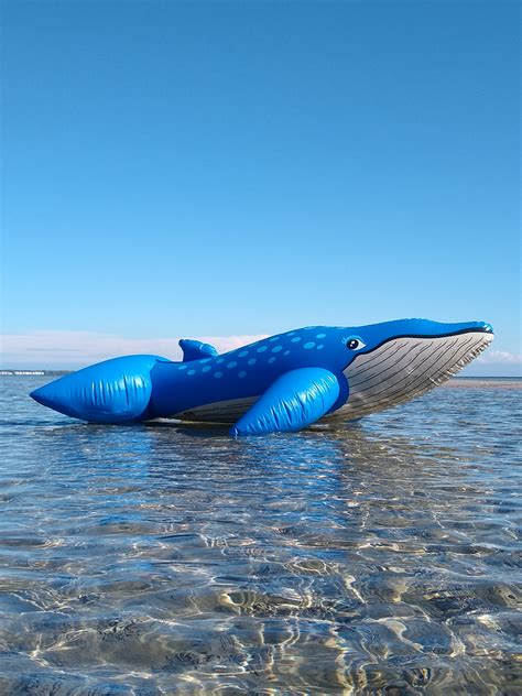 Classic 1990s Inflatable Blue Whale Ride On Horseplay Toys