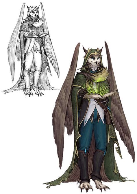 Character Stock Sketch And Color Series Owlin Druid Vagelio