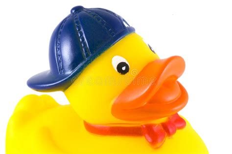 Funny Duck Stock Image Image Of Quack Young Webbed