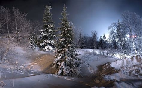 Landscape Nature Winter Snow Forest Lights Cold