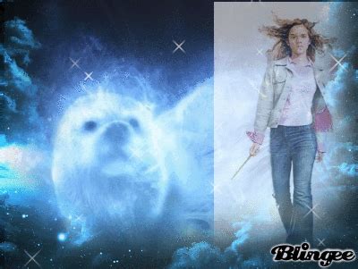 My pottermore patronus is a hedgehog and this is how i deal. hermione granger-patronus Picture #125945347 | Blingee.com