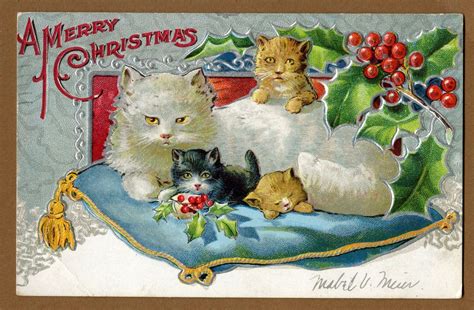 Pin By Babycakes Dmk On Printable Ephemera Christmas Cats Merry