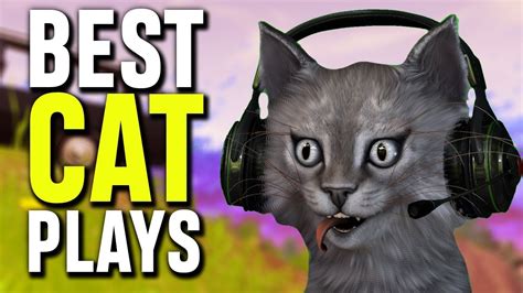 The Best Cat Plays Youll Ever See In Fortnite Youtube