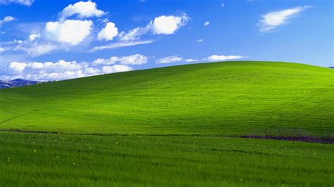 Windows Xp Funny Meeting Backgrounds