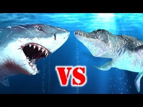 Megalodon vs mosasaurus vs livyatan vs predator x 100 subscriber celebration. Megalodon Vs Liopleurodon Who Would Win? - YouTube