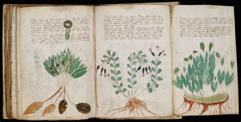 Getstunned The Voynich Manuscript The Most Mysterious Manuscript In