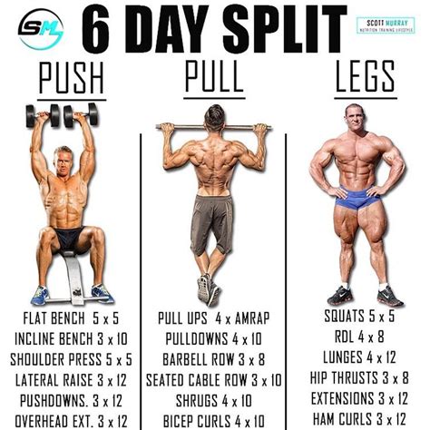 Push Pull Legs Split 3 6 Day Weight Training Workout Schedule And Plan