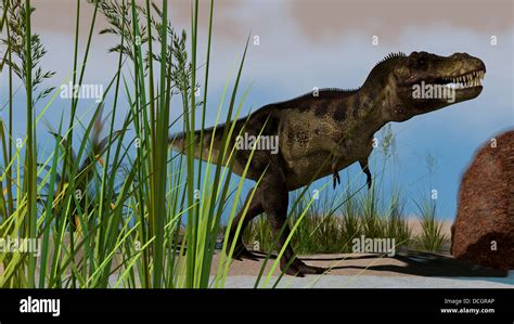 Tyrannosaurus Rex Hunting For Its Next Meal Stock Photo Alamy