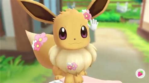 Flower Eevee Pokémon Blog