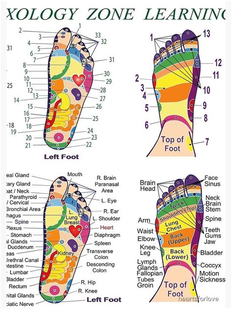 Foot Reflexology Zone Learning Chart Spiral Notebook For Sale By