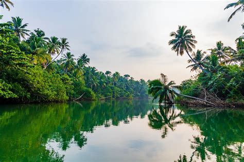 an environmentally friendly guide to kerala s backwaters