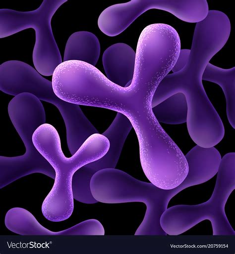 Lactobacillus Bifidus Bacteria Royalty Free Vector Image