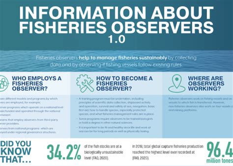 New Fisheries Observer Information And Education Infographic Tool