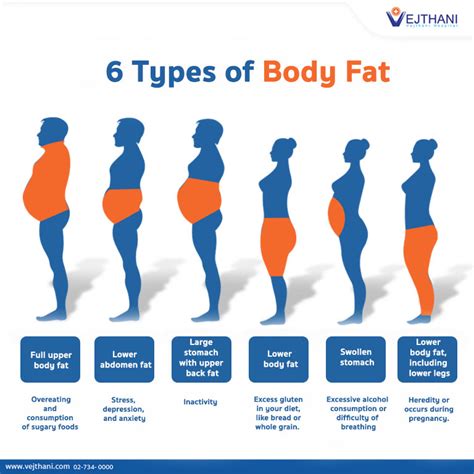Different Body Types Body Fat