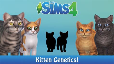 The Sims 4 Cats And Dogs Playing With Kitten Genetics Youtube