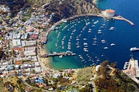 catalina island day trip from lax area hotels with discover avalon scenic tour