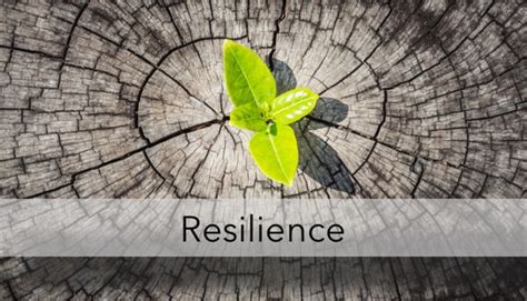 Resilience During Stress 3 Tips To Immediately Implement Ellevate