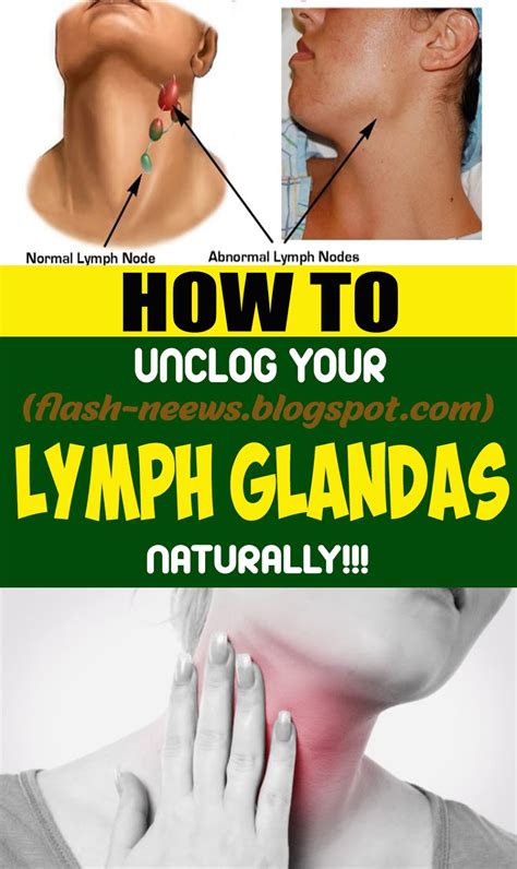 The Most Effective Method To Unclog Your Lymph Glands Naturally
