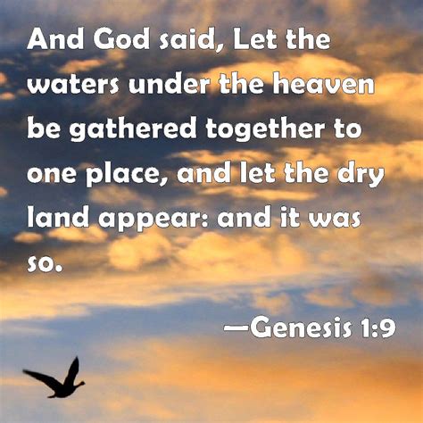 Genesis 19 And God Said Let The Waters Under The Heaven Be Gathered