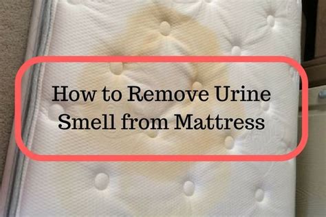 However, cleaning with them can produce a smell that is sometimes worse than the urine itself. How to Remove Urine Smell from Mattress | Remove urine ...