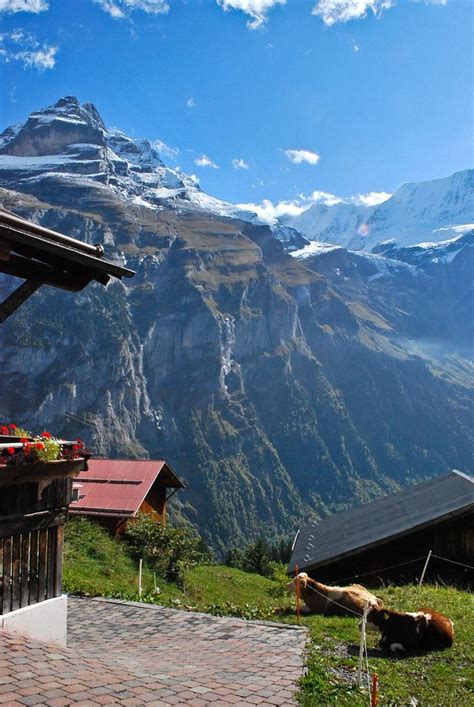 135 Best Lauterbrunnen Switzerland Images On Pinterest