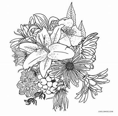 Coloring Flower Pages Flowers Sheets Plant Plants