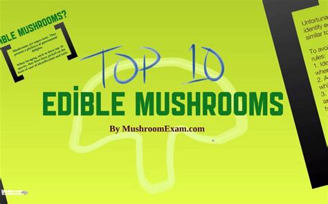 97 Best Images About Oregon Edible Wild Mushrooms On
