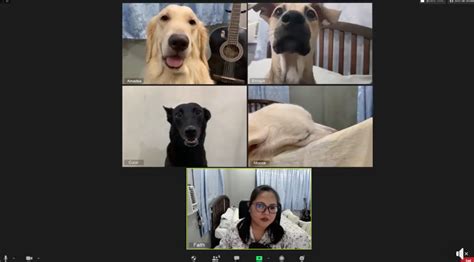Netizen Creates Hilarious Zoom Meeting With Her Pet Dogs Gma News Online