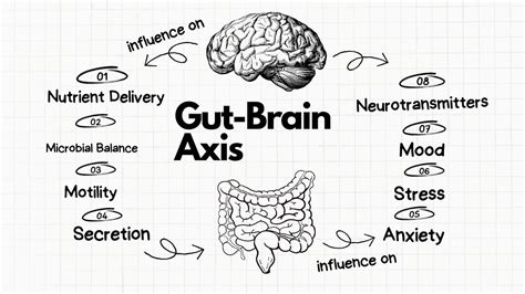 Gut Brain Axis