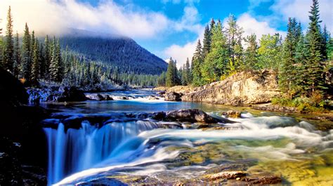 Nature Mountain Dense Spruce Forest, River Rock Waterfall ...