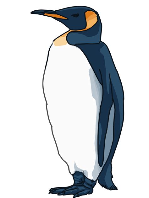 Images Png King Penguin Debout Png All