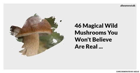 46 Magical Wild Mushrooms You Wont Believe Are Real Wild