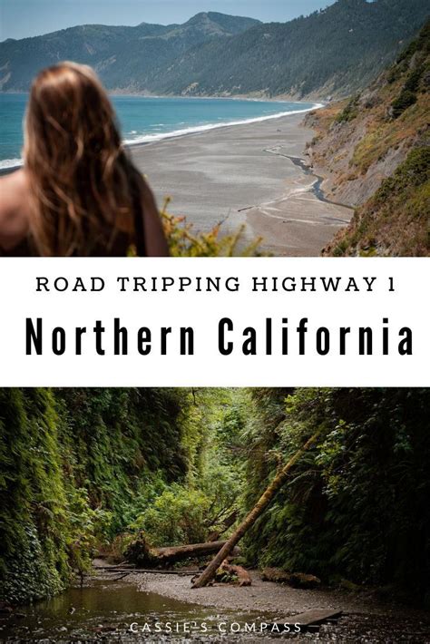 Road Tripping The Northern California Coast · Cassies Compass
