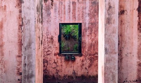 Old Coloured Concrete Wall With Wooden Window Frame And Green Pa