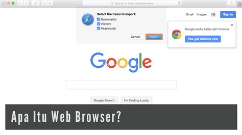 Apa Itu Web Browser Jenis Jenis Fungsi Manfaat Dan Cara Menggunakannya Hot Sex Picture