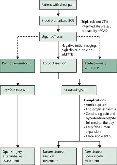 Management Of Acute Aortic Dissection The Lancet