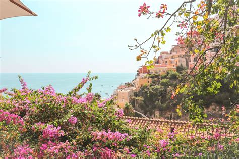 One Day In Positano Beautiful Bright Purple Flowers That