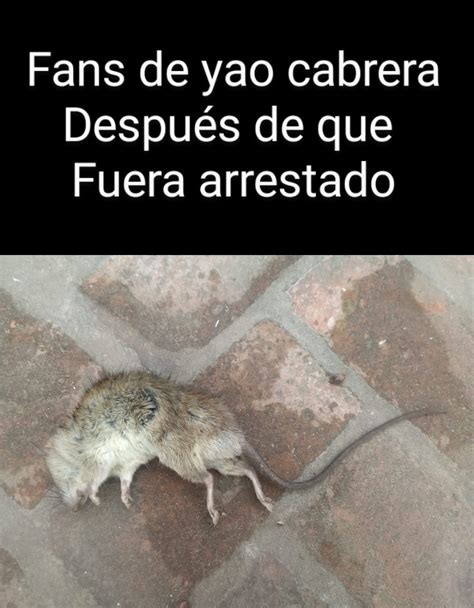 Top Memes De Noesrepost En Español Memedroid