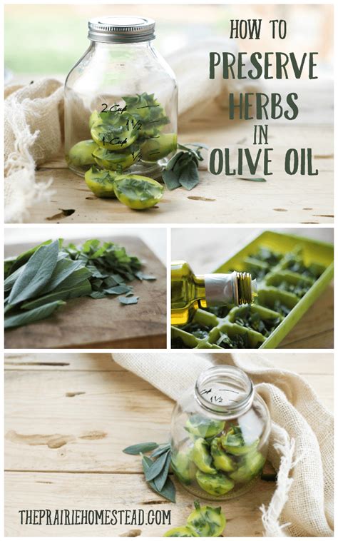 We did not find results for: How to Preserve Fresh Herbs in Olive Oil • The Prairie ...