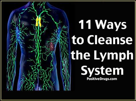 Cleanse The Lymph System Lymph System Lymphatic Drainage Massage
