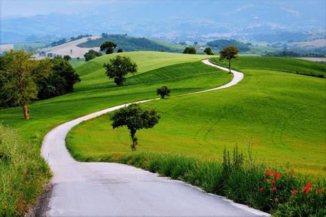 Landscapes Nature Earth Way Road Path Trees Green Grass Hills Spring