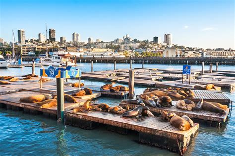 Fishermans Wharf In San Francisco Walk Along San Franciscos Iconic